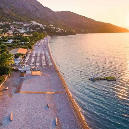 Zante *